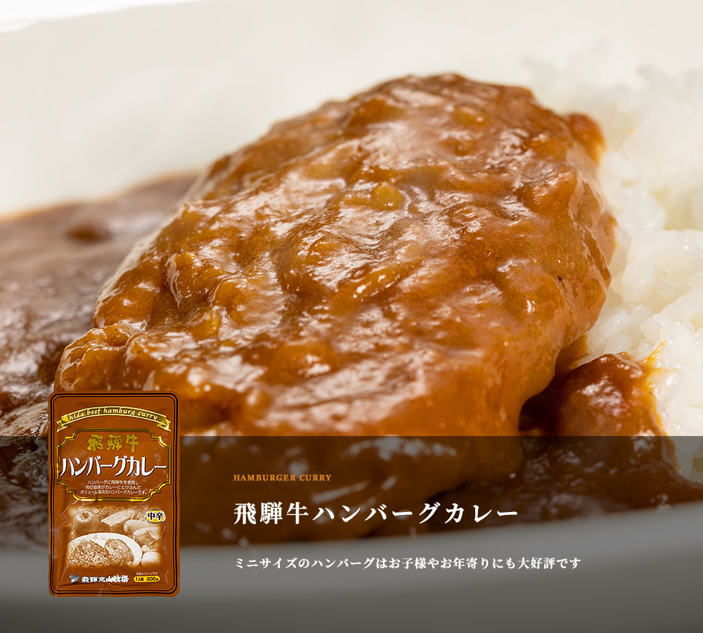 飛騨牛ハンバーグカレー